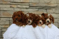 processed/138916ee-b895-40d2-92e3-f124d6e378e2/facility/cc09320f-61da-459d-ac89-d835f5095579