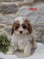 processed/138916ee-b895-40d2-92e3-f124d6e378e2/listing/7deb6075-9001-4086-b929-d038c36978e0/26824174-04c8-4424-a060-b2a2e5d3b20d