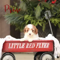 processed/138916ee-b895-40d2-92e3-f124d6e378e2/listing/7deb6075-9001-4086-b929-d038c36978e0/e009730a-9532-4415-8e24-f15195b34d1b