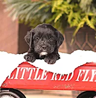 processed/138916ee-b895-40d2-92e3-f124d6e378e2/listing/8a3111bc-68ea-4a36-86b7-4ae4503b7ee9/7c405d11-923e-42ae-a662-29b590720b18