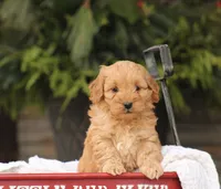 processed/138916ee-b895-40d2-92e3-f124d6e378e2/listing/de741535-7789-49f0-9282-a51612ef2fe3/5f51d2d0-af85-43d3-ab45-9737c630c77d