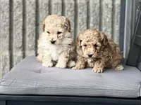 processed/139161ee-ba22-44ce-bc5a-cc801f418324/facility/3ca26d43-886e-462f-a6e8-4dc2da69ea6b