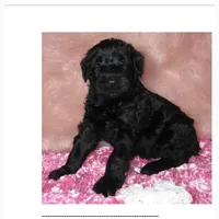 processed/1391af2a-b002-4968-8822-5a93dffa32d6/facility/1d5524a1-47ba-417f-aefc-7ecffff93efb