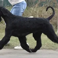 processed/1391af2a-b002-4968-8822-5a93dffa32d6/facility/9b3207fd-416a-4cd5-98b4-63c5b976563f