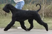 processed/1391af2a-b002-4968-8822-5a93dffa32d6/facility/9b3207fd-416a-4cd5-98b4-63c5b976563f