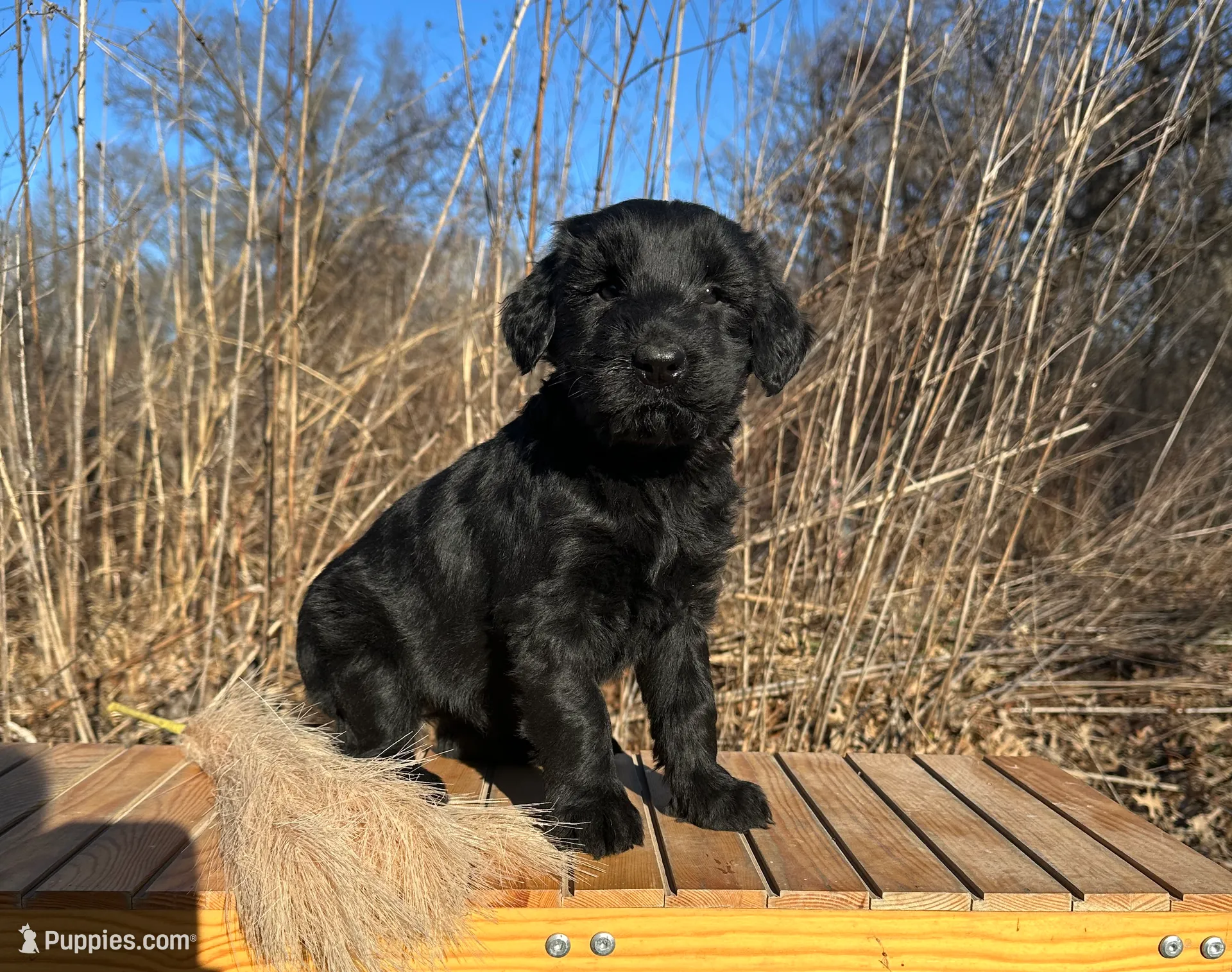 processed/1391af2a-b002-4968-8822-5a93dffa32d6/listing/e1b2d6e4-15a8-4148-8210-9fb685413fc2/42a3c090-7135-40d9-bf53-bc6e2a951603