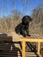 processed/1391af2a-b002-4968-8822-5a93dffa32d6/listing/e1b2d6e4-15a8-4148-8210-9fb685413fc2/b2480e42-d47c-4a9c-85d2-29cb44dd8371