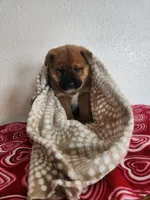 processed/13953be3-ce20-428b-9ea3-be36ac7e945e/listing/7c7d8fd7-5001-4c76-8aec-12a81719f6ab/606d3f9c-0a22-45f4-9cdd-dcdc9bb23c11