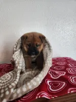 processed/13953be3-ce20-428b-9ea3-be36ac7e945e/listing/7c7d8fd7-5001-4c76-8aec-12a81719f6ab/905fca4d-8a7a-4286-8f10-47c8cd686d39