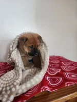 processed/13953be3-ce20-428b-9ea3-be36ac7e945e/listing/7c7d8fd7-5001-4c76-8aec-12a81719f6ab/e0001ba9-6da5-467c-b286-5fc412eea066