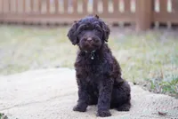 processed/1396c32a-17e2-490e-b95a-31d6594ef82c/listing/69c45ec6-9f24-4a48-b0aa-0d09c5c8eae3/069c9929-12ad-420c-8150-f4c8f7c72ca5