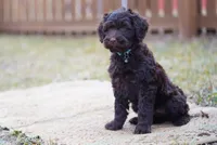 processed/1396c32a-17e2-490e-b95a-31d6594ef82c/listing/69c45ec6-9f24-4a48-b0aa-0d09c5c8eae3/13627d8a-1427-4f24-bc77-524d21938ede