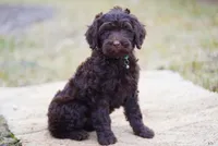 processed/1396c32a-17e2-490e-b95a-31d6594ef82c/listing/69c45ec6-9f24-4a48-b0aa-0d09c5c8eae3/f7f8ba35-7b3e-45a0-93c9-a773102deeac