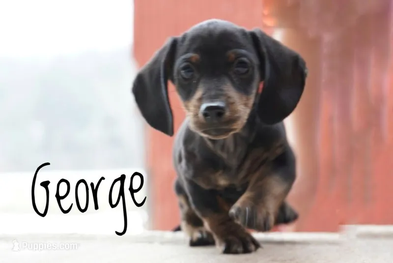 George 