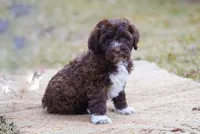 processed/1396c32a-17e2-490e-b95a-31d6594ef82c/listing/caf8a4bc-5f97-4c0c-92f2-32a74fa908b4/4cd5c7d9-014b-457b-b159-6010ca0cf64b