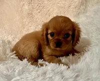 processed/139fcd28-d7c5-42ff-a7db-7c9f01c60fe8/facility/3396eea2-d481-4b99-8bb3-e147ddbde660