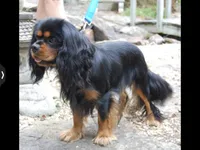 processed/139fcd28-d7c5-42ff-a7db-7c9f01c60fe8/facility/87b06e8a-1b5f-45e0-8ee9-90ce8fd17c6c