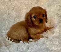 processed/139fcd28-d7c5-42ff-a7db-7c9f01c60fe8/facility/c1fb04fb-2f39-459f-933c-4ed2e84da5a9