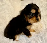 processed/139fcd28-d7c5-42ff-a7db-7c9f01c60fe8/facility/ec502228-19b0-4c72-8640-e456f64705d3