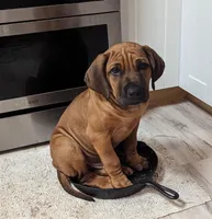 processed/13a7a418-bd55-45a5-b48a-b04ba1e26f4d/facility/1d9a9c7d-6a10-4526-93eb-04e51e39b4de