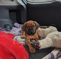 processed/13a7a418-bd55-45a5-b48a-b04ba1e26f4d/facility/47b52985-1217-4cfa-afd8-f32ab723a450