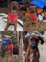 processed/13a7a418-bd55-45a5-b48a-b04ba1e26f4d/facility/7b77c083-231c-41e4-a847-9f6901eae9b5