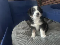 processed/13aa7f77-5c9f-4ab2-940f-eff187d92e2f/listing/2bacdfdb-923a-4737-bf35-7034090598b6/d1350b7b-a60a-44d6-93be-c46ca918091a