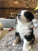 processed/13aa7f77-5c9f-4ab2-940f-eff187d92e2f/listing/52b3f5cf-9c5b-43dc-b5b7-3a3155e65b9f/42a1b14f-d07f-4e9c-8384-9ea7e0153b03