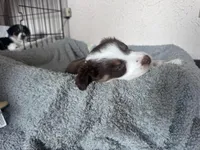 processed/13aa7f77-5c9f-4ab2-940f-eff187d92e2f/listing/5d90bec3-c35e-4b6f-a438-4f39ba646f49/4ec43913-c873-49dd-b4ec-822186caf5f4