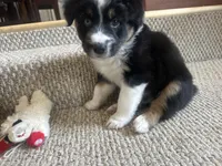 processed/13aa7f77-5c9f-4ab2-940f-eff187d92e2f/listing/60064963-25c1-4ca6-947c-e92f83717c78/95a2047f-d2a5-44d2-869d-b185c579915b