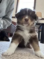 processed/13aa7f77-5c9f-4ab2-940f-eff187d92e2f/listing/dc438f89-e8bc-4ec1-b034-baaf473f1515/79429c28-f8c5-4e99-b485-d8aae1bf9f2d