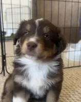 processed/13aa7f77-5c9f-4ab2-940f-eff187d92e2f/listing/dc438f89-e8bc-4ec1-b034-baaf473f1515/9fc13927-ddf9-4e8f-a10f-8c7a38afd56b