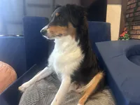 processed/13aa7f77-5c9f-4ab2-940f-eff187d92e2f/listing/dc438f89-e8bc-4ec1-b034-baaf473f1515/e88d629d-7619-4d13-a4a9-3debf3f2a9d9