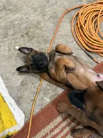 processed/13bf837a-f7ec-43b2-9eb9-8c368cbee872/listing/9398f731-6854-4bd0-97f0-575cfab76e1a/16eb6ab1-f532-4b71-a282-5b069a0a458e