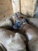 processed/13bf837a-f7ec-43b2-9eb9-8c368cbee872/listing/9398f731-6854-4bd0-97f0-575cfab76e1a/a5c22fd5-1a44-4ca2-89ee-6e18aa358820