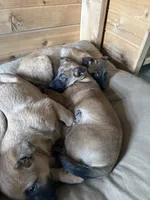 processed/13bf837a-f7ec-43b2-9eb9-8c368cbee872/listing/9398f731-6854-4bd0-97f0-575cfab76e1a/c2a83689-9574-4fdb-9dd2-9fd7546ddd2b