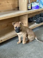 processed/13bf837a-f7ec-43b2-9eb9-8c368cbee872/listing/9f32370a-7f8b-4114-8fd7-f46db773fd6d/17752ee8-7b4b-4be1-bb72-73d7f0b6df95