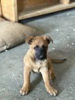 processed/13bf837a-f7ec-43b2-9eb9-8c368cbee872/listing/9f32370a-7f8b-4114-8fd7-f46db773fd6d/506db719-ea5b-4abd-b965-4a9cafabb6ec