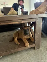 processed/13bf837a-f7ec-43b2-9eb9-8c368cbee872/listing/9f32370a-7f8b-4114-8fd7-f46db773fd6d/6789f543-121f-4a17-8a66-ae819795127e