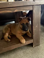 processed/13bf837a-f7ec-43b2-9eb9-8c368cbee872/listing/9f32370a-7f8b-4114-8fd7-f46db773fd6d/69183835-7943-4578-a47f-4fcf0562afbd