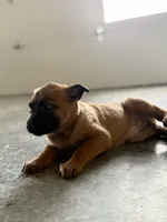 processed/13bf837a-f7ec-43b2-9eb9-8c368cbee872/listing/a8c07b47-7746-4dc5-b1f0-6d12fb1cc327/2b828115-7ab8-44a9-a435-c41bed0d4eb1