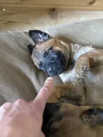 processed/13bf837a-f7ec-43b2-9eb9-8c368cbee872/listing/a8c07b47-7746-4dc5-b1f0-6d12fb1cc327/99732f23-db36-4d8d-96f8-32f5e6b3dbe3