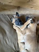 processed/13bf837a-f7ec-43b2-9eb9-8c368cbee872/listing/a8c07b47-7746-4dc5-b1f0-6d12fb1cc327/f9b2fa75-f2d6-47bd-bd70-bba8490e9af8