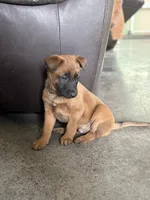 processed/13bf837a-f7ec-43b2-9eb9-8c368cbee872/listing/cc188560-d130-4891-a022-131b6f2c397d/119cd3ed-2e27-4e87-856e-9575bbc4c6b9