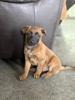 processed/13bf837a-f7ec-43b2-9eb9-8c368cbee872/listing/cc188560-d130-4891-a022-131b6f2c397d/f40e7bae-991e-49f7-a1ee-c6e3d240f921