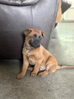 processed/13bf837a-f7ec-43b2-9eb9-8c368cbee872/listing/cc188560-d130-4891-a022-131b6f2c397d/ffb9a941-3756-449b-b26d-03a00db9e3aa