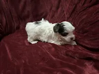 processed/13c0320e-5e8c-4820-9e29-4569750e9d26/facility/6b384398-45a8-4921-a7cb-8f90199568eb