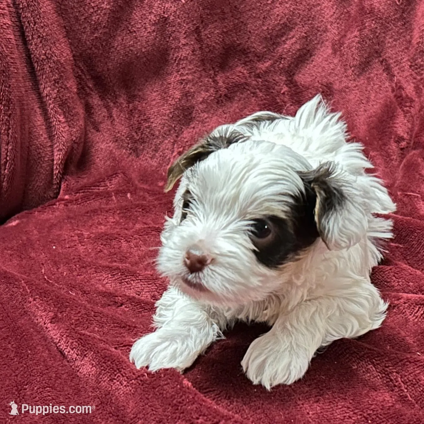 processed/13c0320e-5e8c-4820-9e29-4569750e9d26/facility/9bb98f3a-8dc0-4797-87ed-51be8e3aa6cf