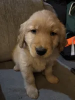 processed/13d7d082-30b5-4e12-ad43-f167aa2b4e50/listing/04c11fe2-9021-4380-abd9-1337ff849d42/18b815ba-cfc0-4d20-a675-3aa523fd05ae