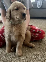 processed/13d7d082-30b5-4e12-ad43-f167aa2b4e50/listing/04c11fe2-9021-4380-abd9-1337ff849d42/2fa4f94e-513f-48b9-a30f-c393ace4ed76